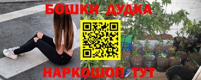 гидропоника Бийск