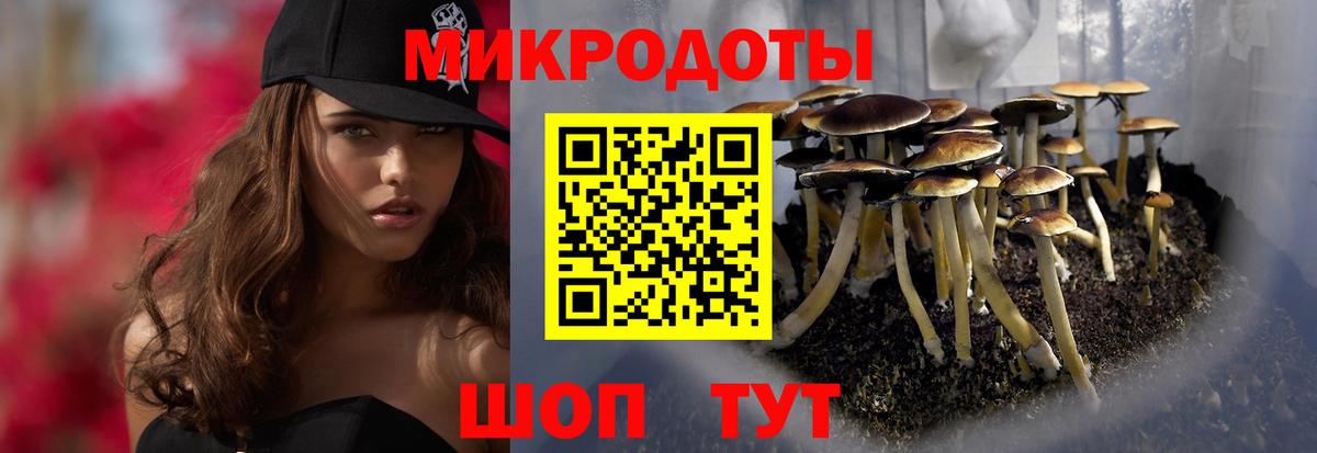 Псилоцибиновые грибы мухоморы Знаменск